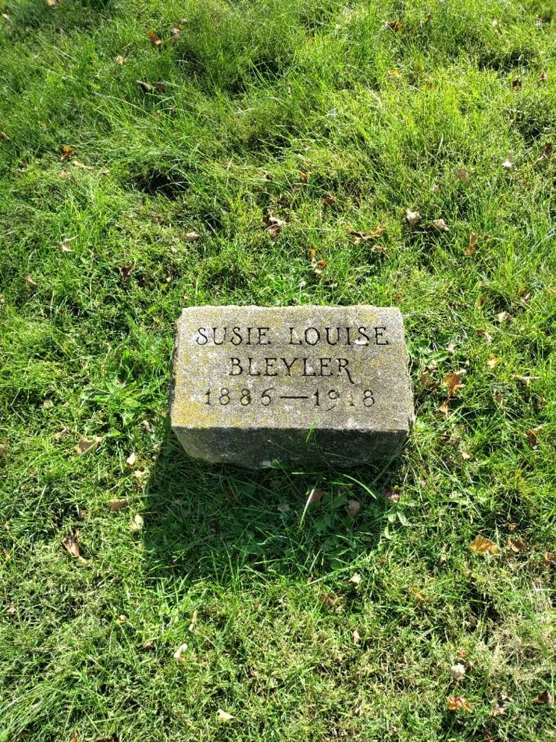 Susie Louise Bleyler's grave. Photo 2