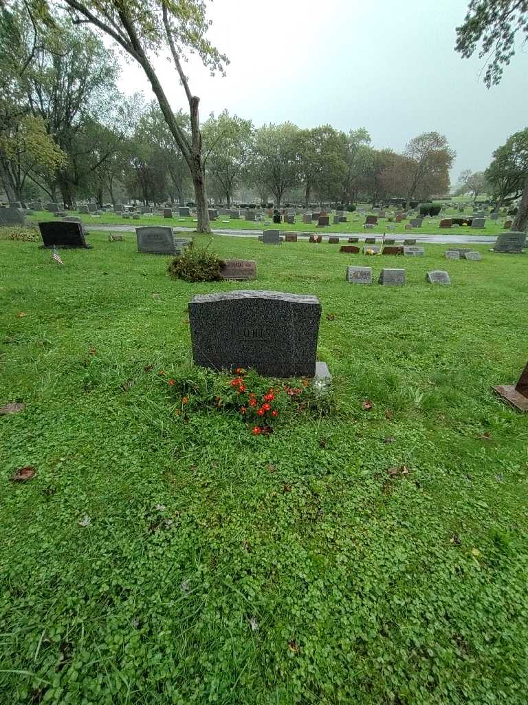 John A. Louis's grave. Photo 1