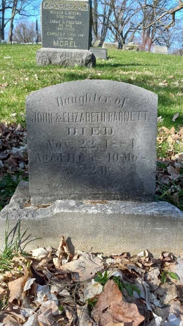 Nettie Barnett's grave. Photo 3