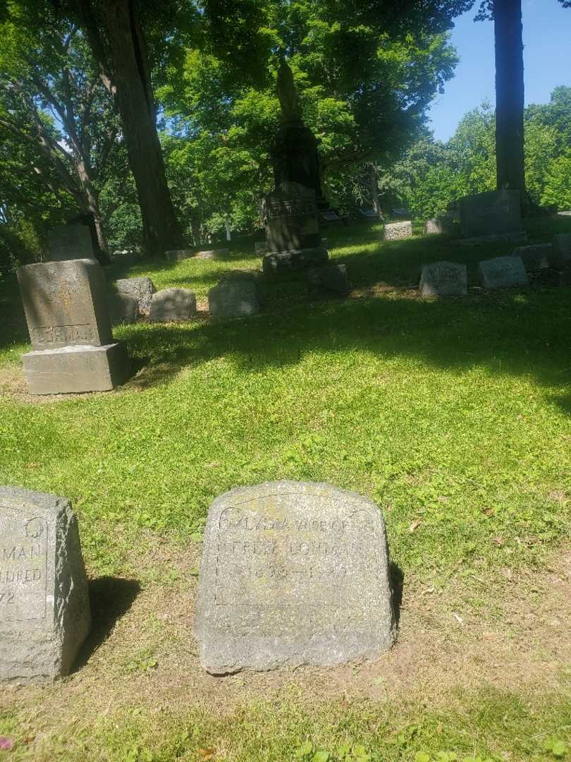 Lydia E. Lohman's grave. Photo 1