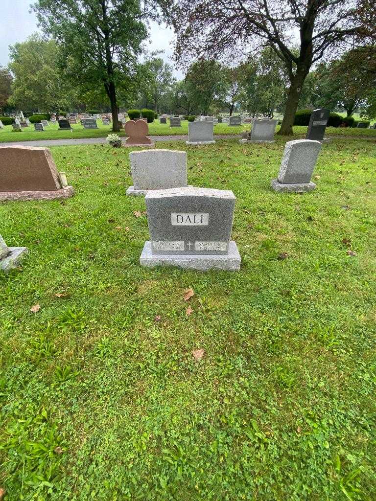 Samuel M. Dali's grave. Photo 1