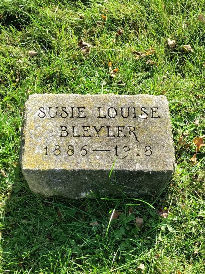 Susie Louise Bleyler's grave. Photo 3