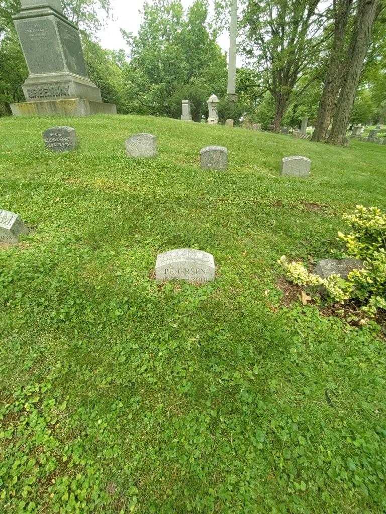 Elvin Pedersen's grave. Photo 1