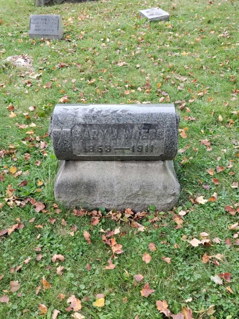 Mary J. Woese's grave. Photo 2