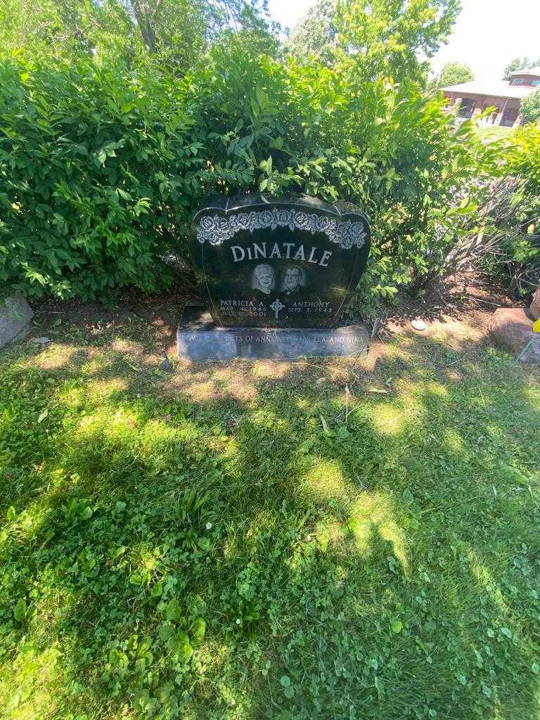 Patricia A. DiNatale's grave. Photo 1