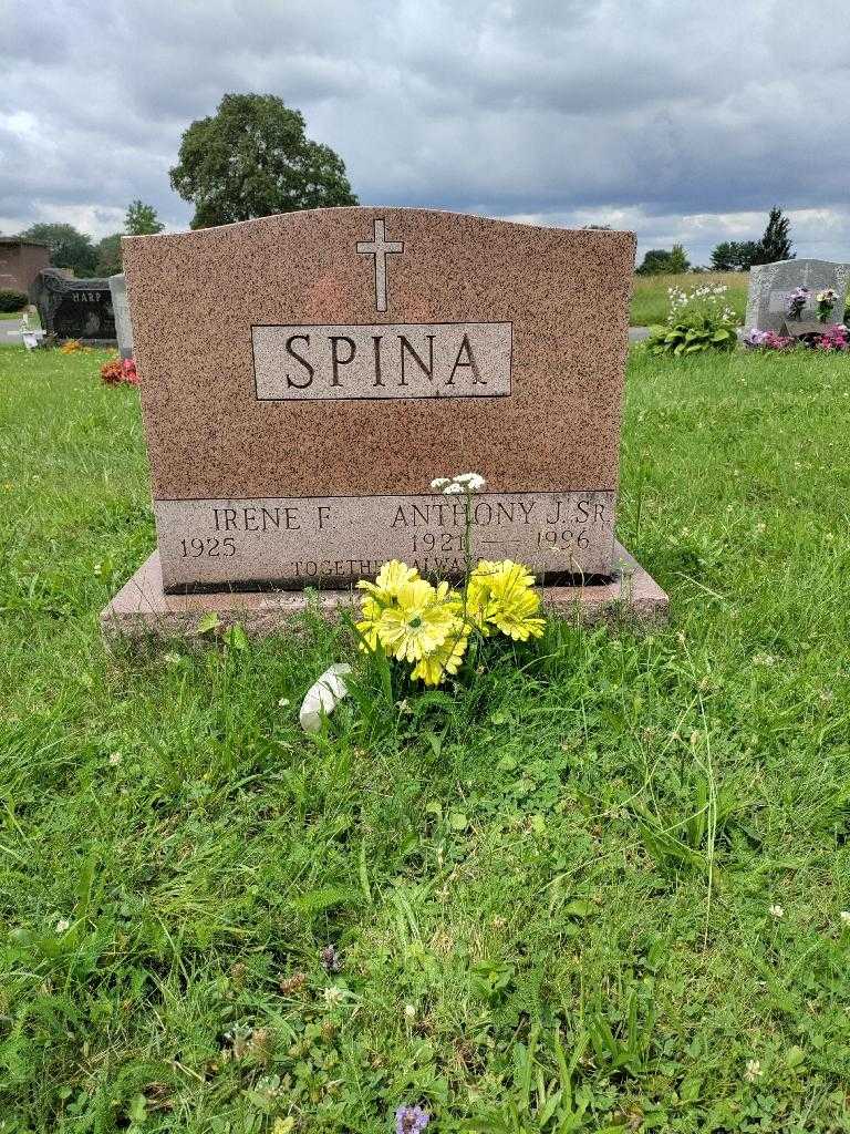Anthony J. Spina Senior's grave. Photo 2