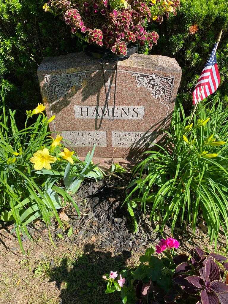 Clelia A. Havens's grave. Photo 2
