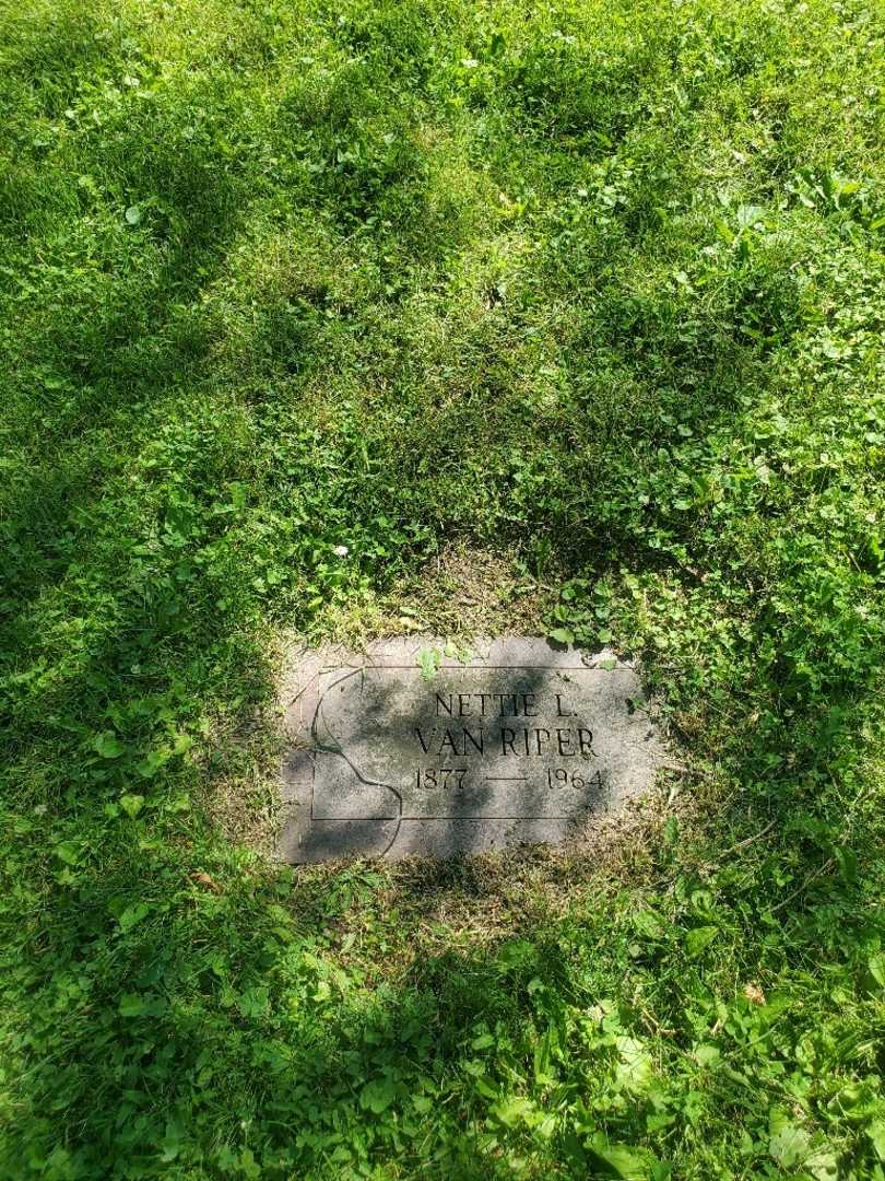 Nettie L. Van Riper's grave. Photo 3