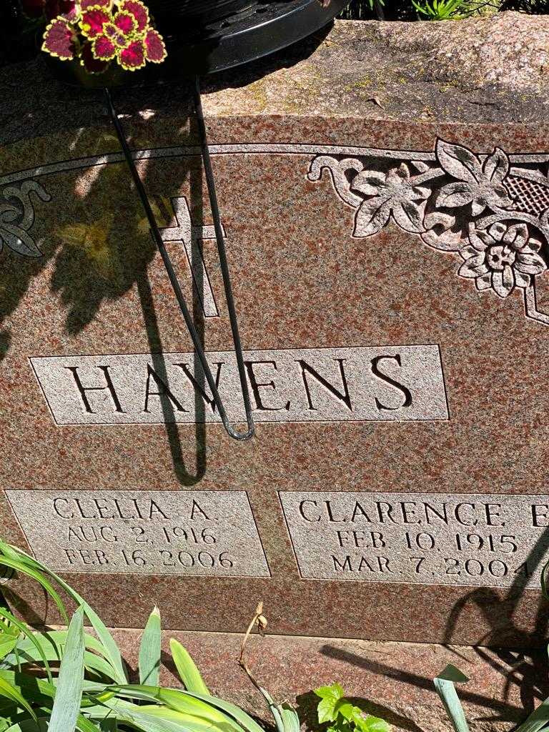 Clelia A. Havens's grave. Photo 3