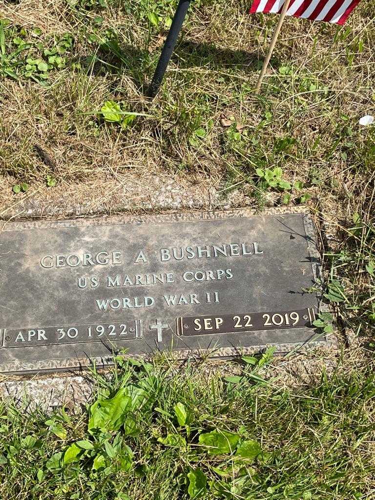 George A. Bushnell's grave. Photo 3
