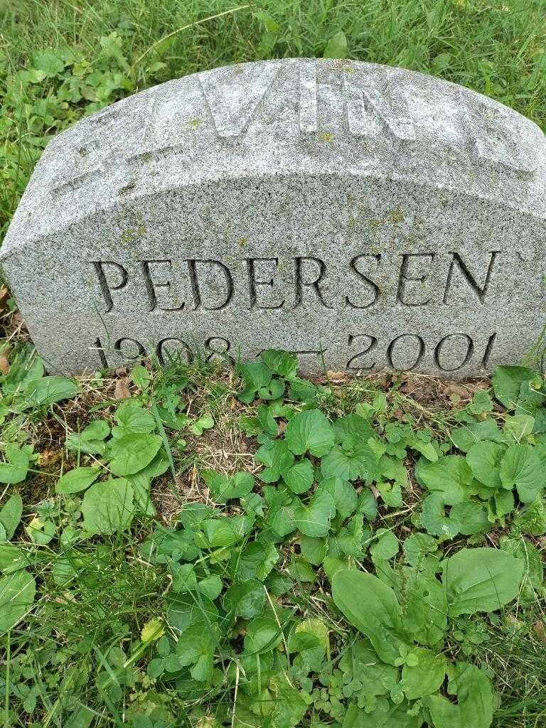 Elvin Pedersen's grave. Photo 3