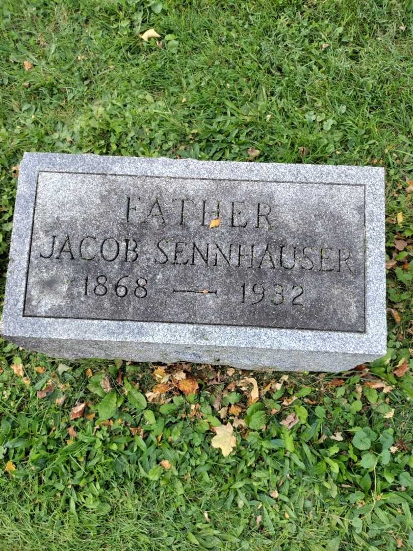 Jacob Sennhauser's grave. Photo 3