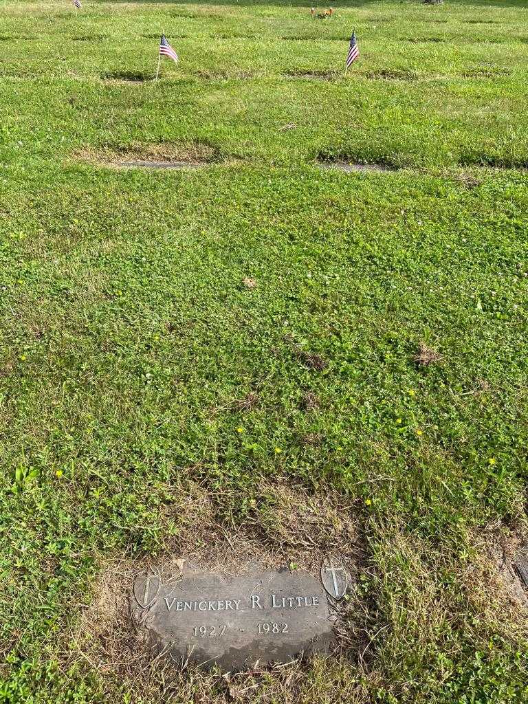 Vineckery R. Little's grave. Photo 2