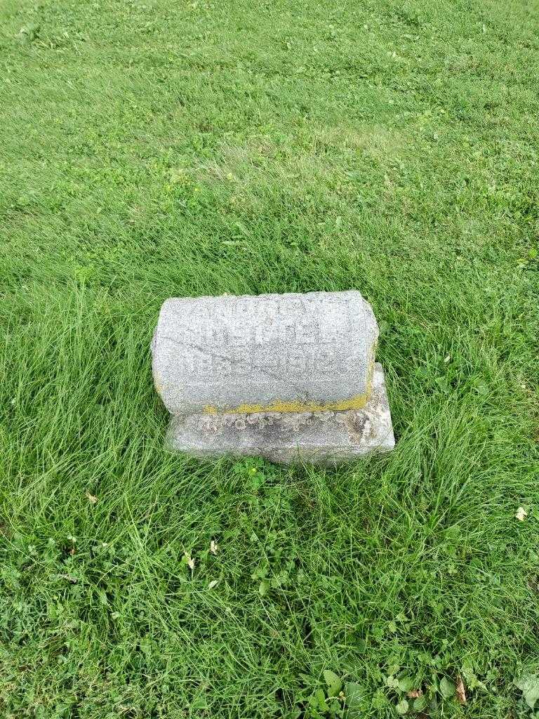 Andrew Goettel's grave. Photo 2