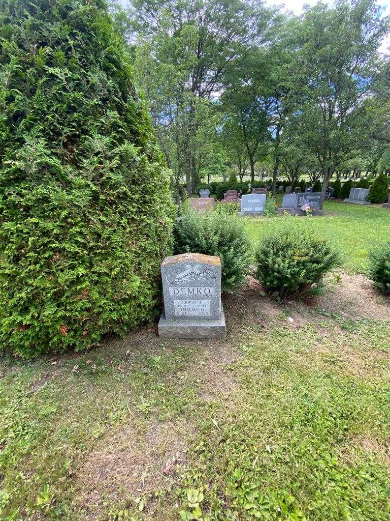 Erwin J. Demko's grave. Photo 1