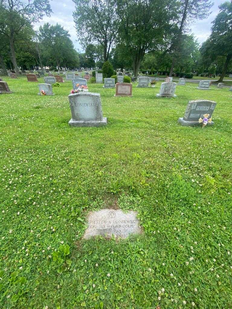 Chester A. Loniewski's grave. Photo 1