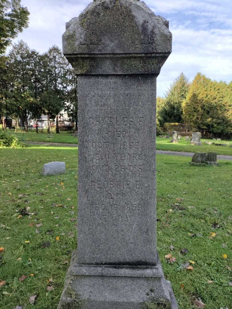 George E. Hertig's grave. Photo 2