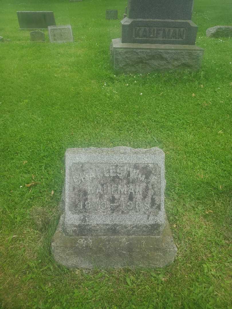 Charles Wm. F. Kaufman's grave. Photo 3