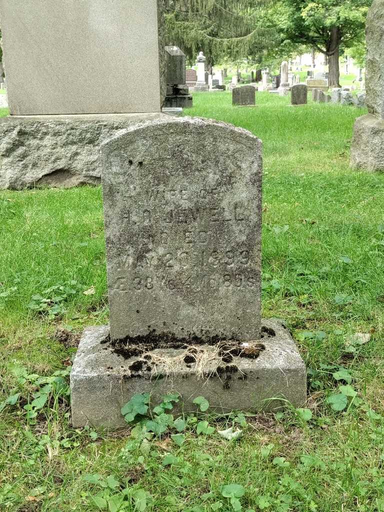 Phillipina Jewell's grave. Photo 2