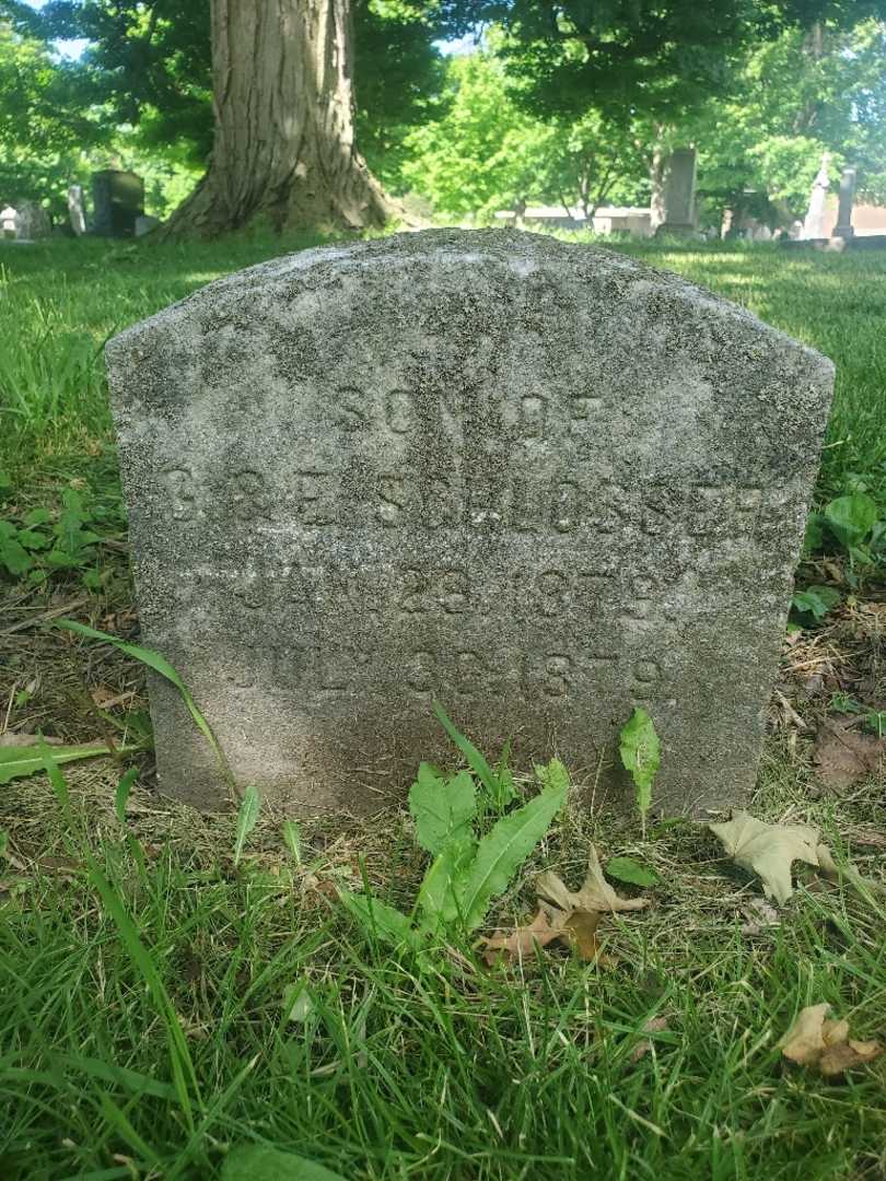 George P. Schlosser's grave. Photo 4