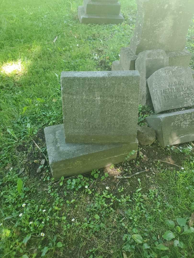 Elizabeth Matzenbacker's grave. Photo 3