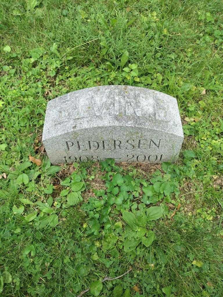 Elvin Pedersen's grave. Photo 4