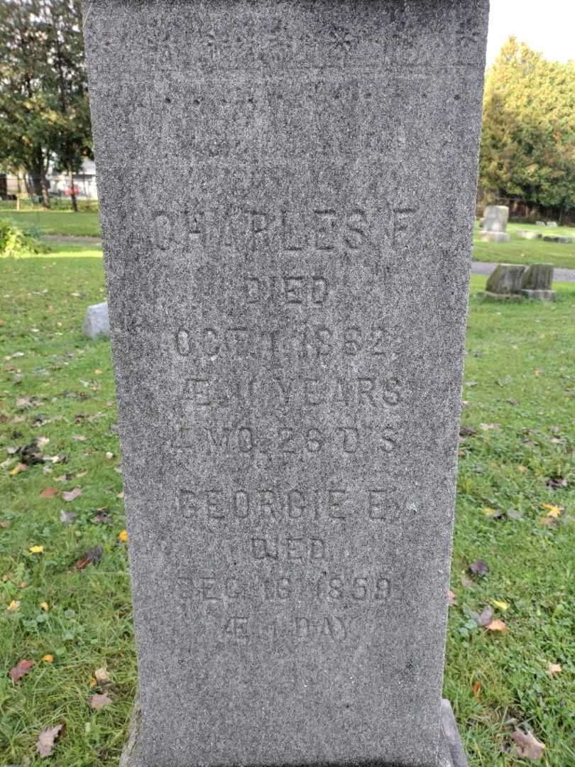 George E. Hertig's grave. Photo 3