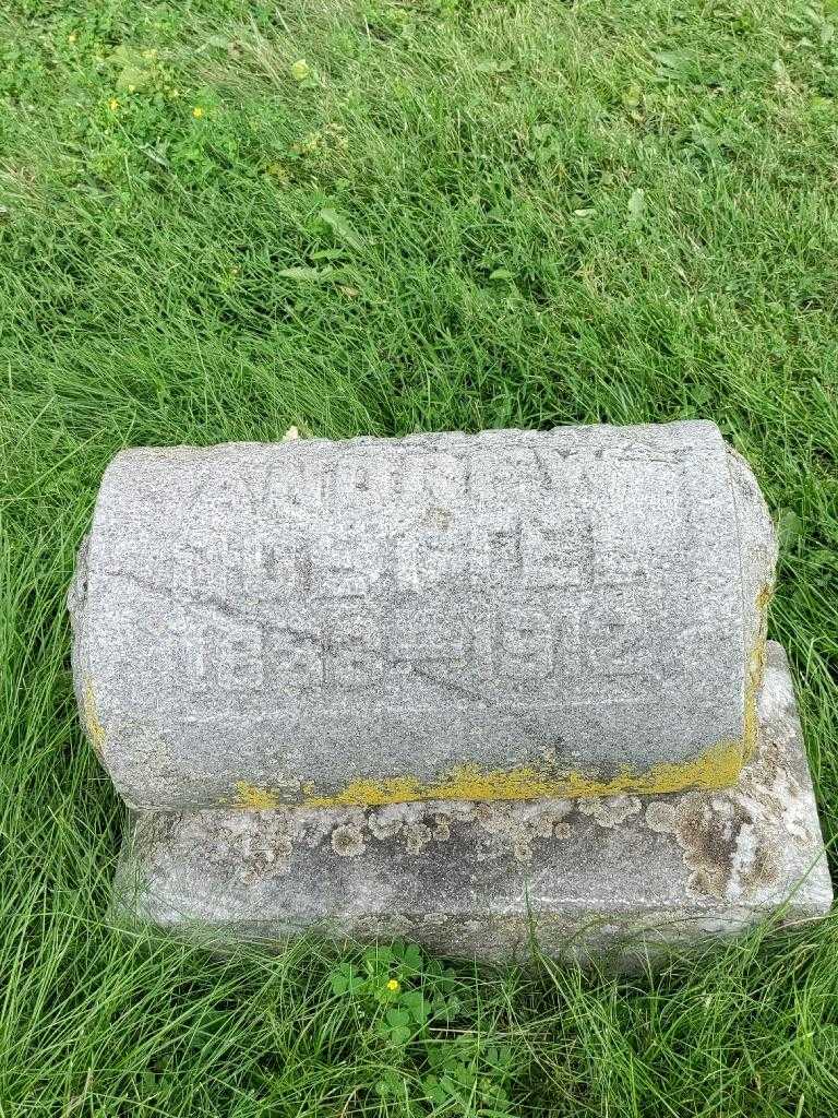 Andrew Goettel's grave. Photo 4