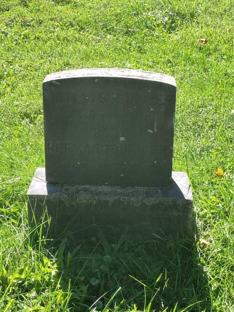 Amelia Schindler's grave. Photo 4
