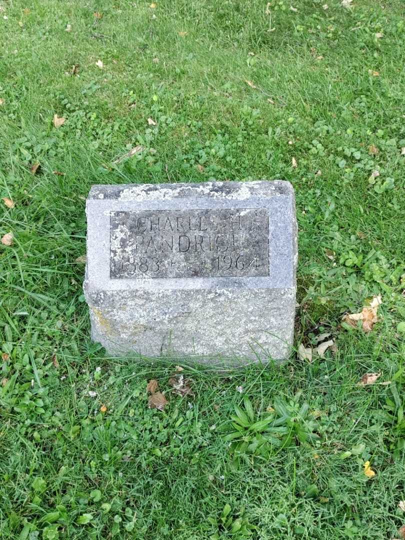 Charles H. Fandrich's grave. Photo 2