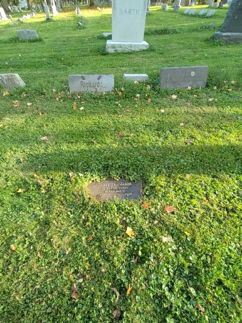 James J. Richards's grave. Photo 1