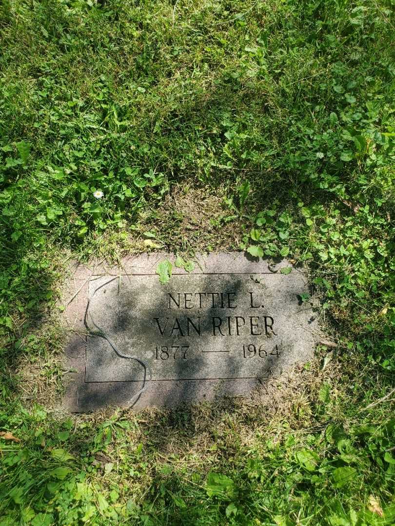 Nettie L. Van Riper's grave. Photo 4