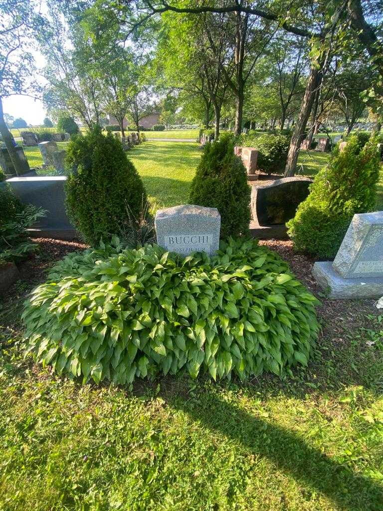 Joseph "Slim" Bucchi's grave. Photo 1