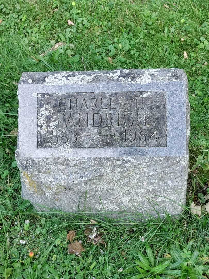 Charles H. Fandrich's grave. Photo 3