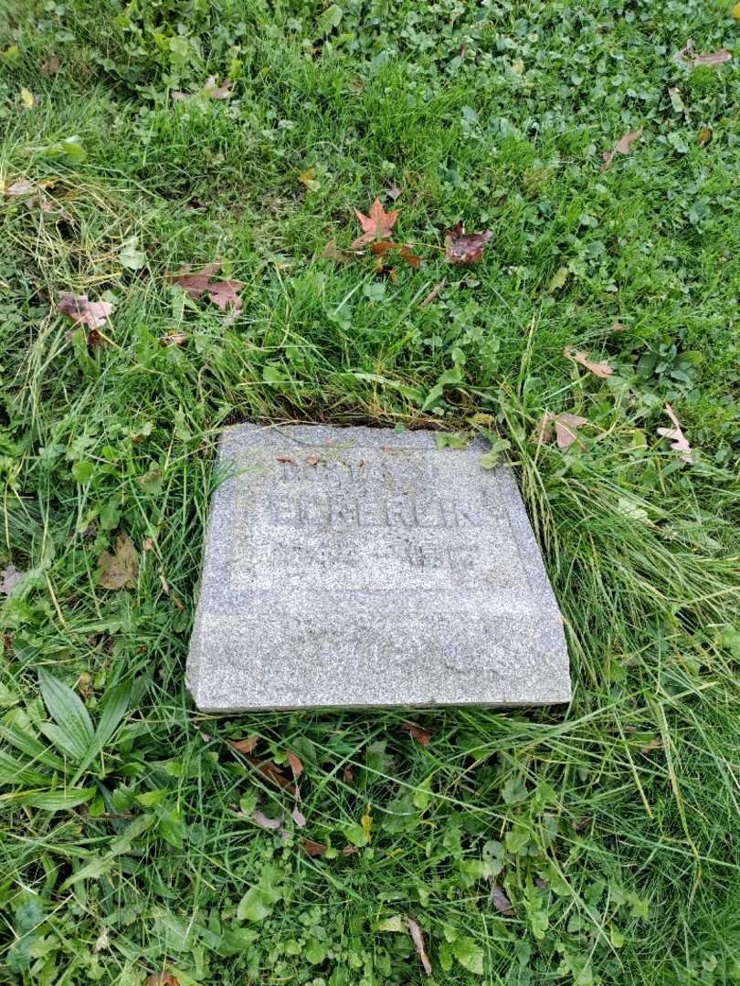 Gustav J. Eckerlin's grave. Photo 2