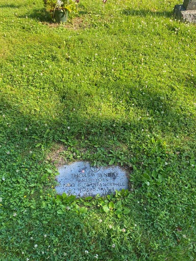 Thor W. Andre's grave. Photo 2