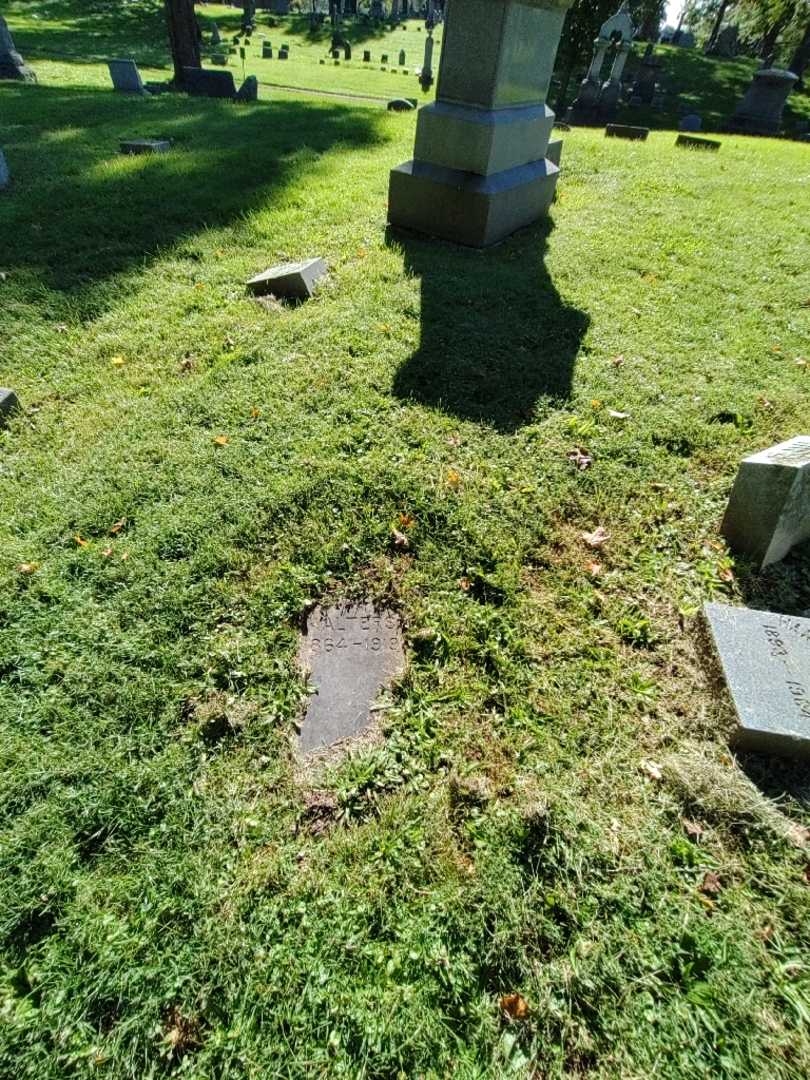 Mary E. Walters's grave. Photo 1