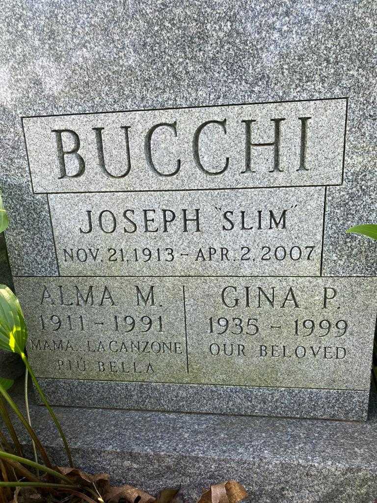 Alma M. Bucchi's grave. Photo 3