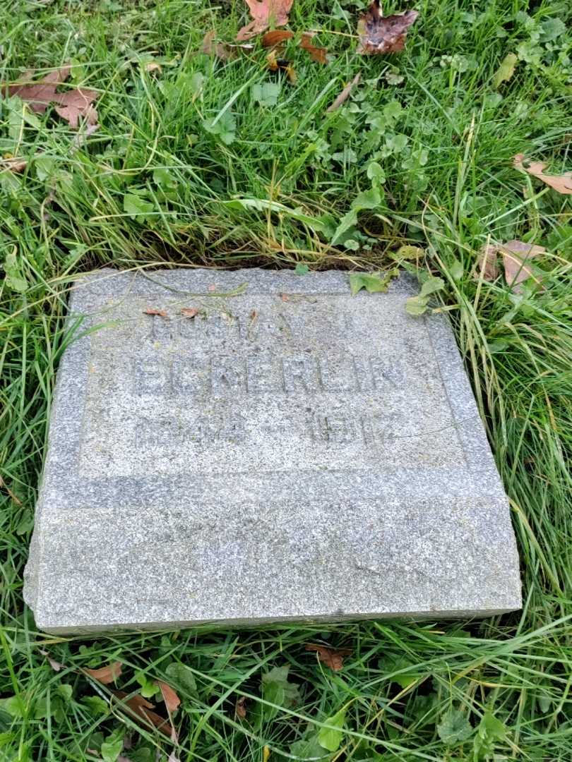 Gustav J. Eckerlin's grave. Photo 3