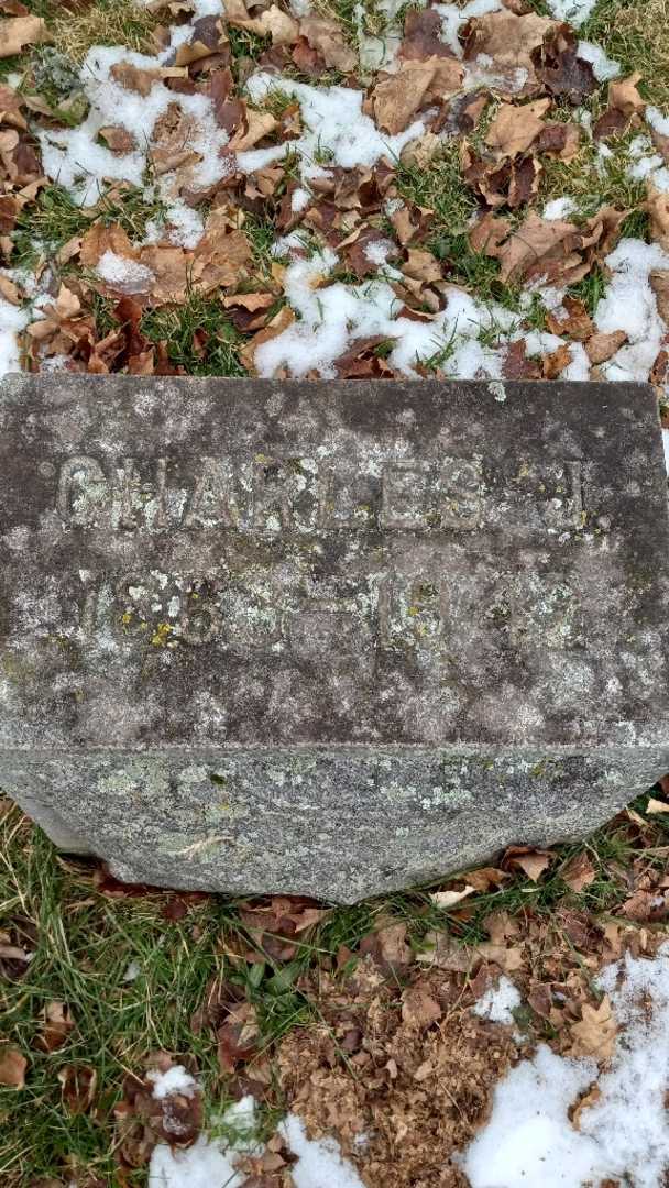Charles J. Bainbridge's grave. Photo 3