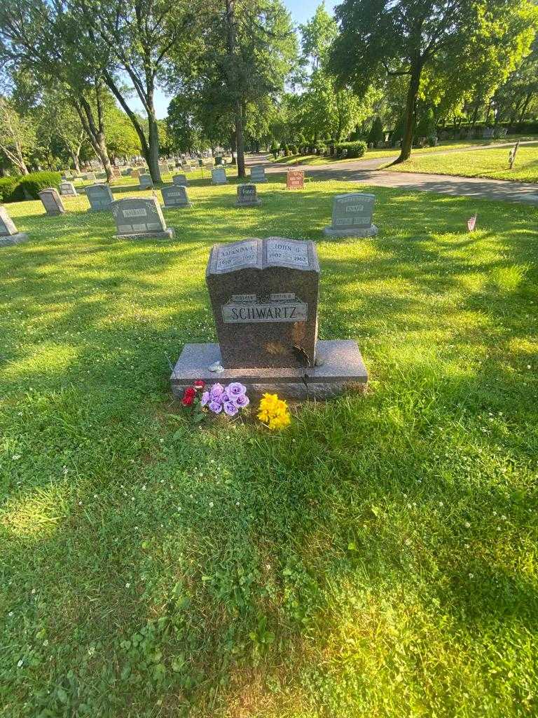 Amanda C. Schwartz's grave. Photo 1