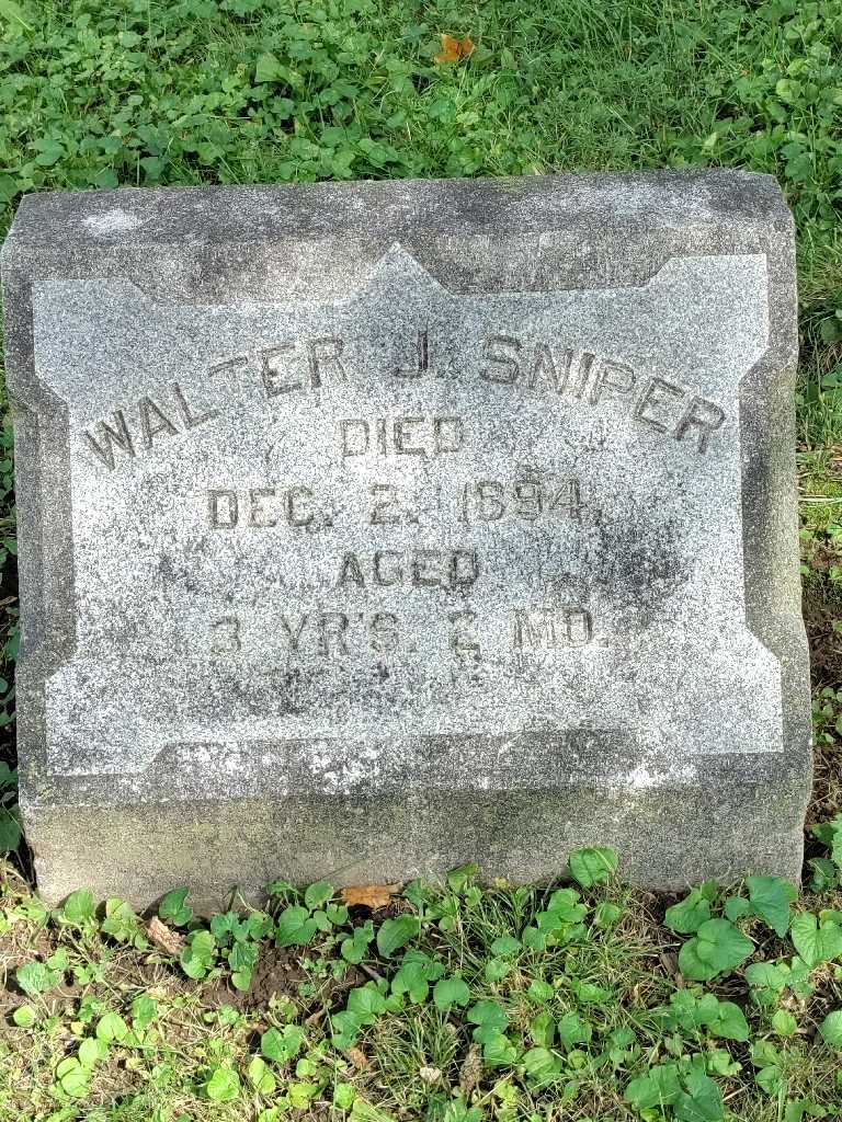 Walter J. Sniper's grave. Photo 3