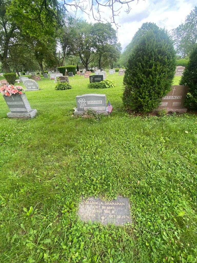 William A. Shanahan's grave. Photo 1