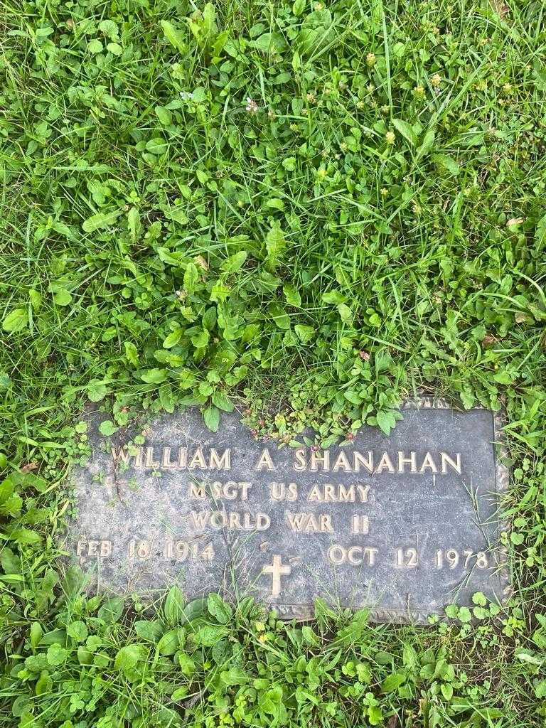 William A. Shanahan's grave. Photo 2
