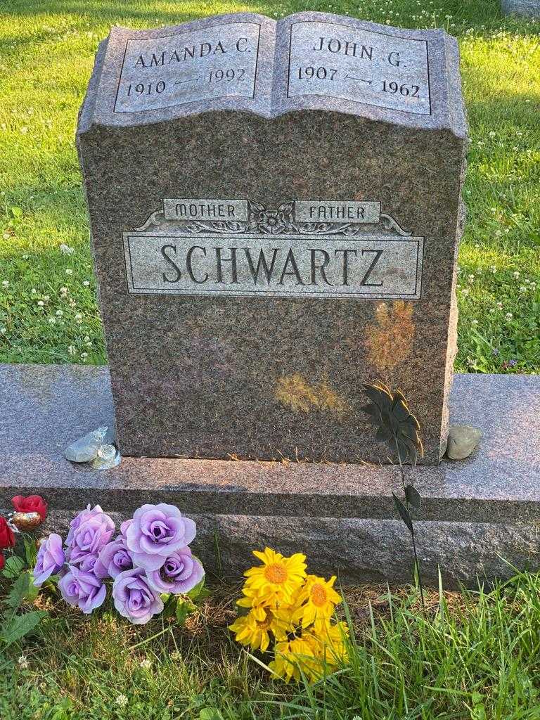 Amanda C. Schwartz's grave. Photo 3