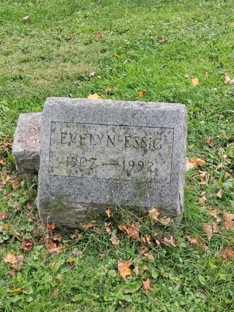 Evelyn Essig's grave. Photo 2