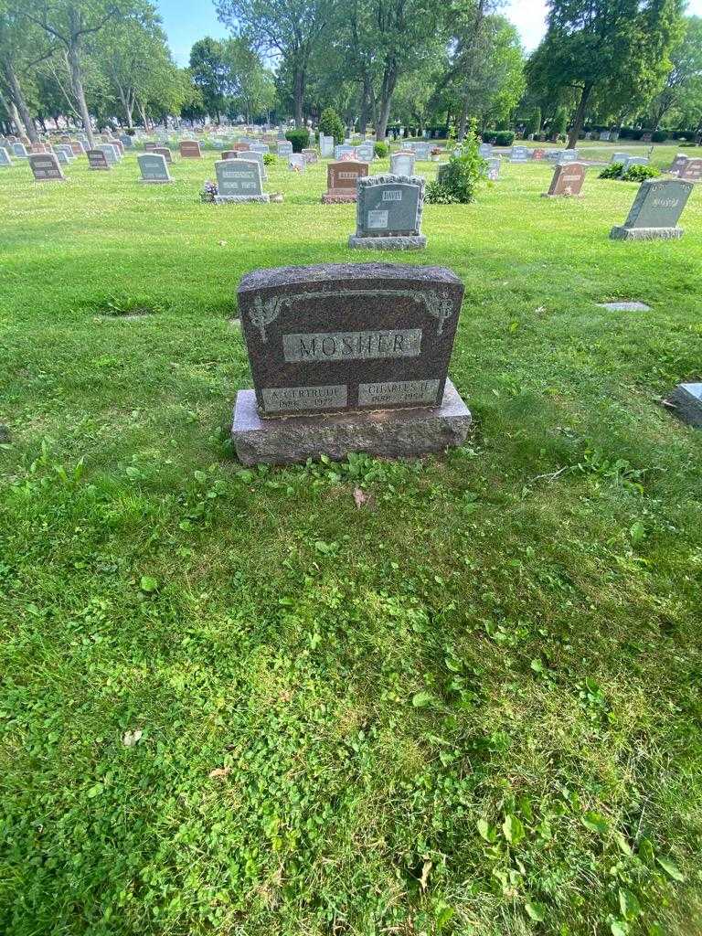 Gertrude A. Mosher's grave. Photo 1