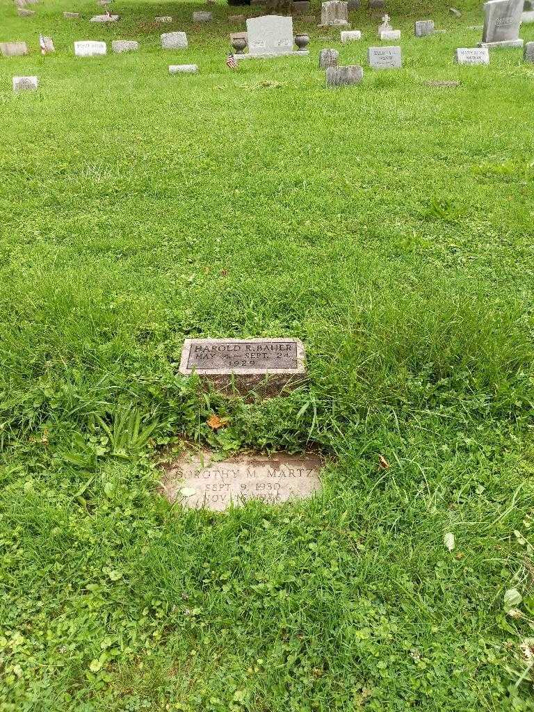 Dorothy M. Martz's grave. Photo 3