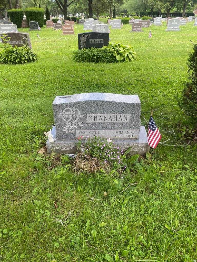William A. Shanahan's grave. Photo 3