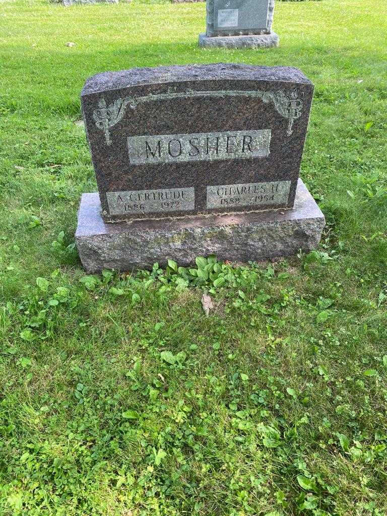 Charles H. Mosher's grave. Photo 2